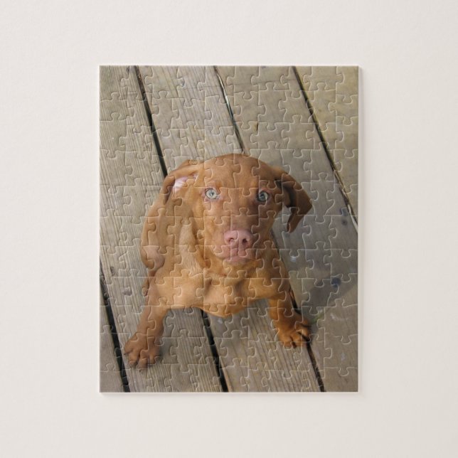 vizsla-valp pussel (Vertikal)