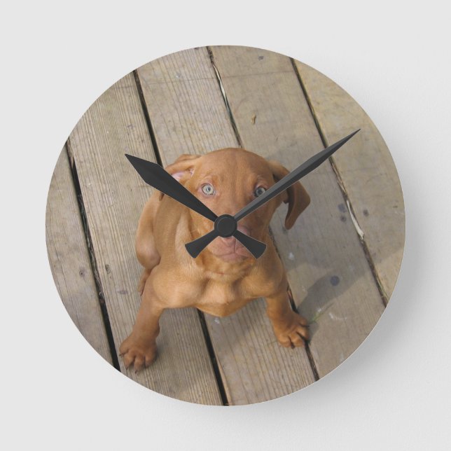 vizsla-valp rund klocka (Framsida)