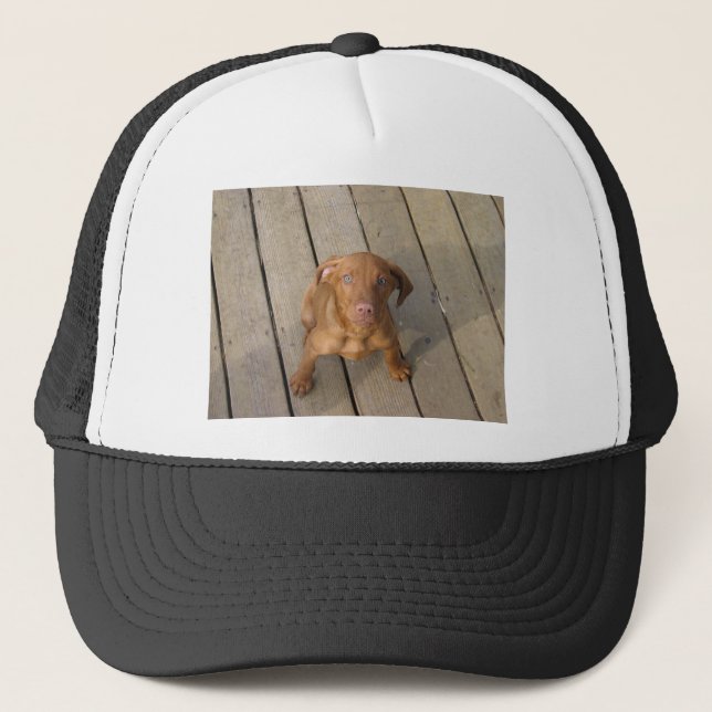 vizsla-valp truckerkeps (Framsida)