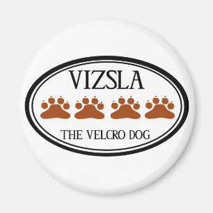 Vizsla Velcrohundmagneten Magnet