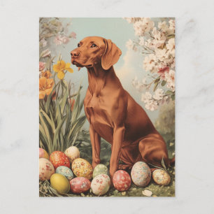 Vizsla Vintage Påsk Vykort