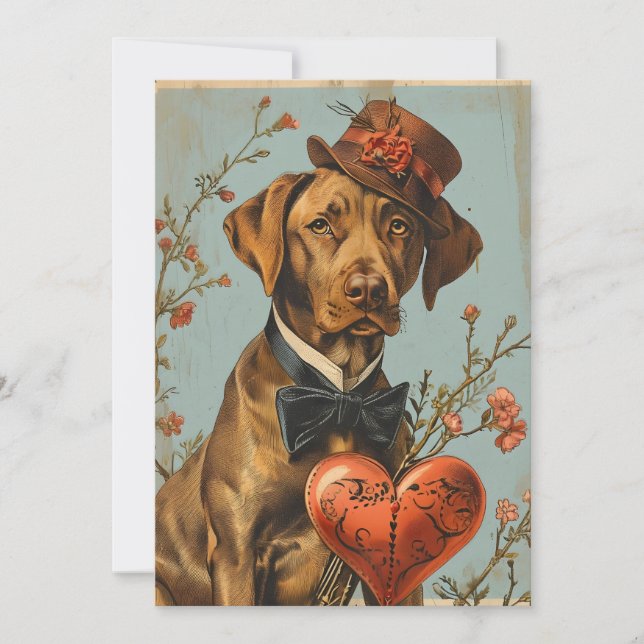 Vizsla Vintage Valentine Day Julkort (Framsida)