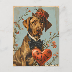 Vizsla Vintage Valentine Day Vykort