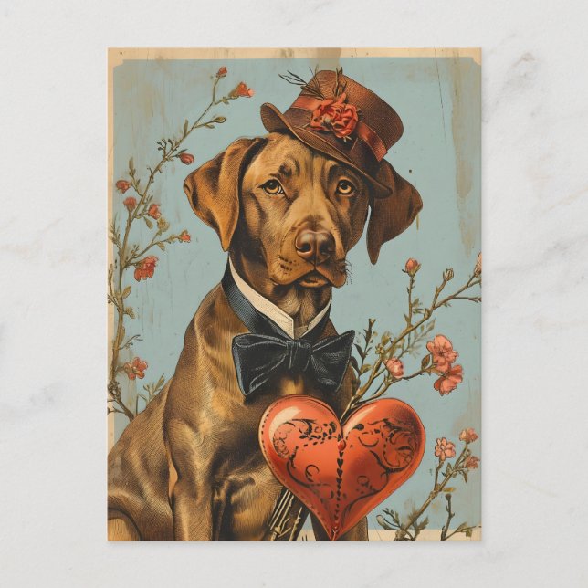 Vizsla Vintage Valentine Day Vykort (Framsida)