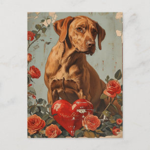 Vizsla Vintage Valentines dag Vykort