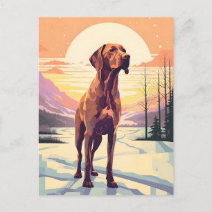 Vizsla vinterskog under solnedgång vykort