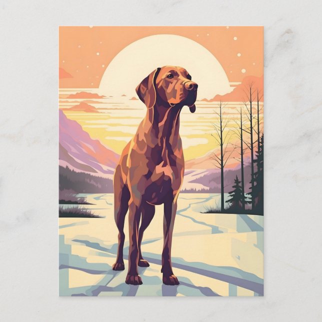 Vizsla vinterskog under solnedgång vykort (Framsida)