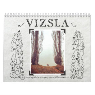 VizsLA Vizsual Kalender