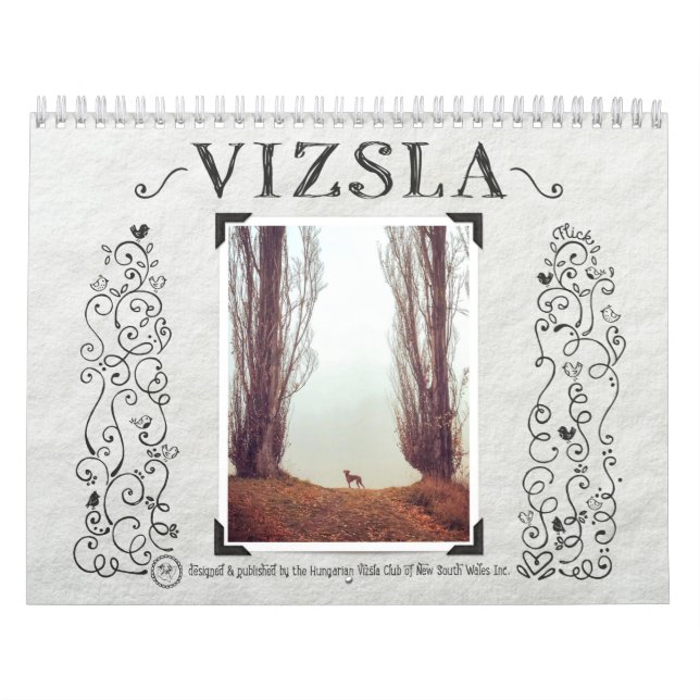 VizsLA Vizsual Kalender (Omslag)