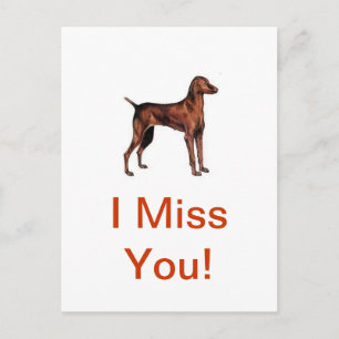 Vizsla Vykort