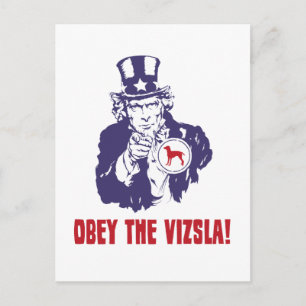 Vizsla Vykort