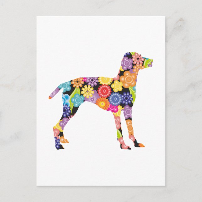 Vizsla Vykort (Framsida)