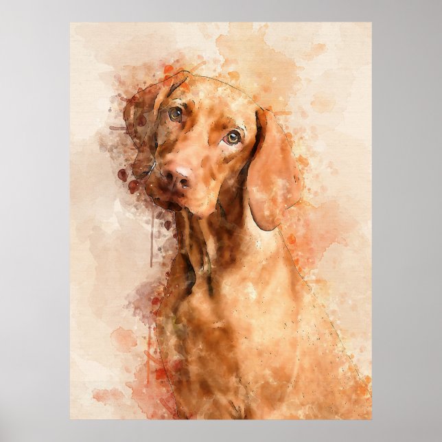 Vizsla Watercolor Poster (Framsidan)