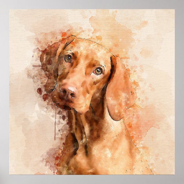 Vizsla Watercolor Poster (Framsidan)