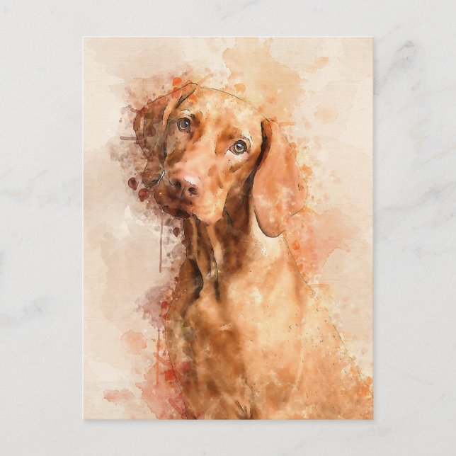 Vizsla Watercolor Vykort (Framsida)