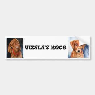 VIZSLAS STEN, bildekal