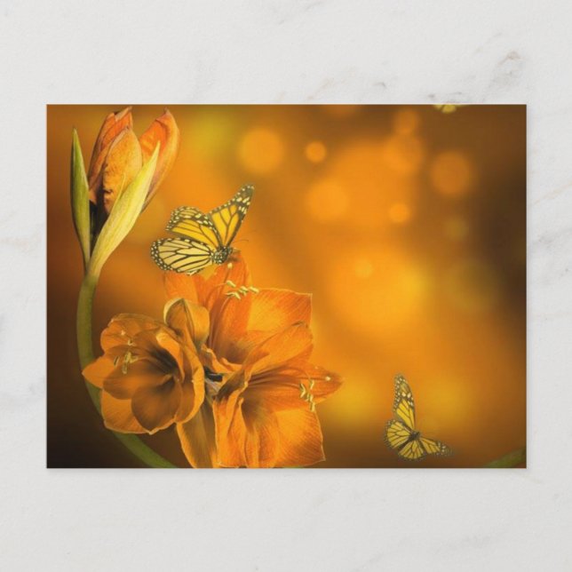 vlinders oranje vykort (Framsida)