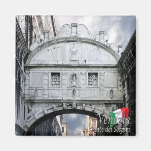VNT049 VENICE - Sighbron, Italien, Rygge Magnet