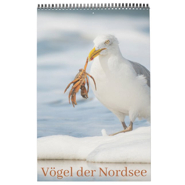 Vögel der Nordsee Kalender (Omslag)