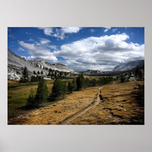 Vogelsang Valley - Yosemite Poster (Framsidan)