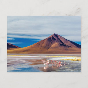 Volcano och Flamingoes Vykort