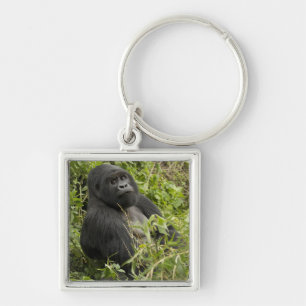 Volcanoes nationalpark, bergsgorilla fyrkantig silverfärgad nyckelring