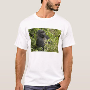 Volcanoes nationalpark, bergsgorilla t shirt