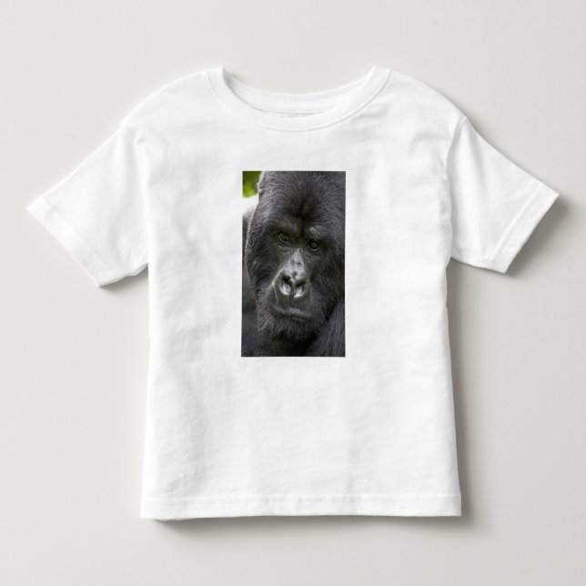 Volcanoes NP, Rwanda, Bergsgorillor, T-shirt (Framsida)