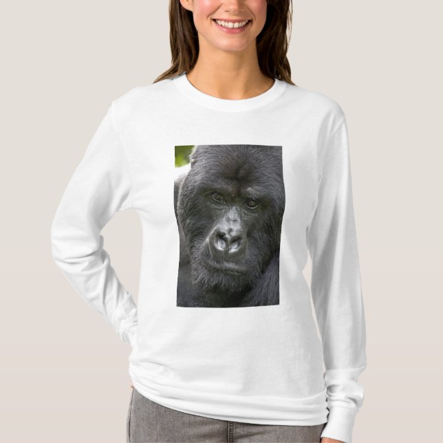Volcanoes NP, Rwanda, Bergsgorillor, Tee (Framsida)