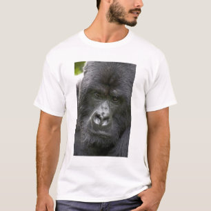 Volcanoes NP, Rwanda, Bergsgorillor, Tee Shirt