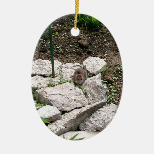 Vole Ornament (Framsidan)