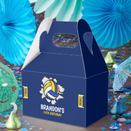 Volleyball Funny Birthday Boy Presentaskar