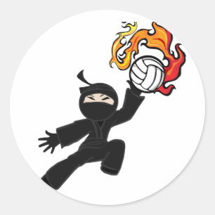 Volleyball Ninja Runt Klistermärke