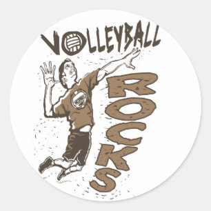 Volleyball Sten Brown Runt Klistermärke