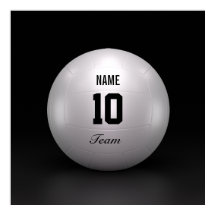 Volleyball Team