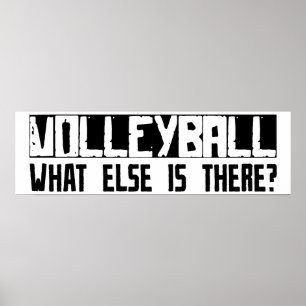 Volleyball, vad annat finns det? poster