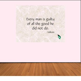 Voltaire inspirationcitat poster