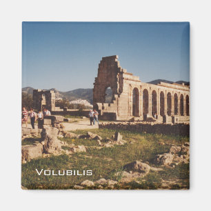 Volubilis ruiner magnet
