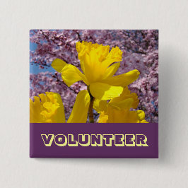 VOLUNTEER knappar Vår Narciss Blommor Blommar