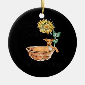 Vomens att du är min solskenare italienska Greyhou Julgransprydnad Keramik
