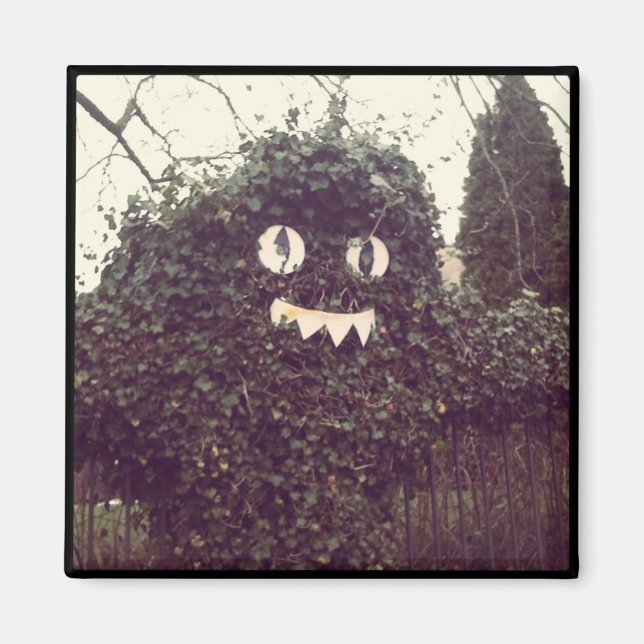 Voodoo Bush Magnet (Framsidan)