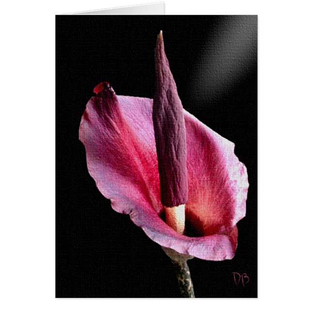 Voodoo Lily Cards Hälsningskort (Framsidan)