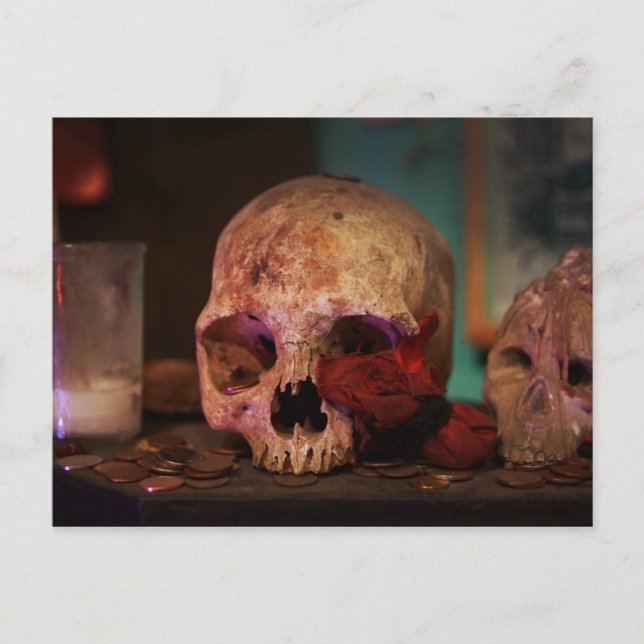 Voodoo Ritual Vykort (Framsida)