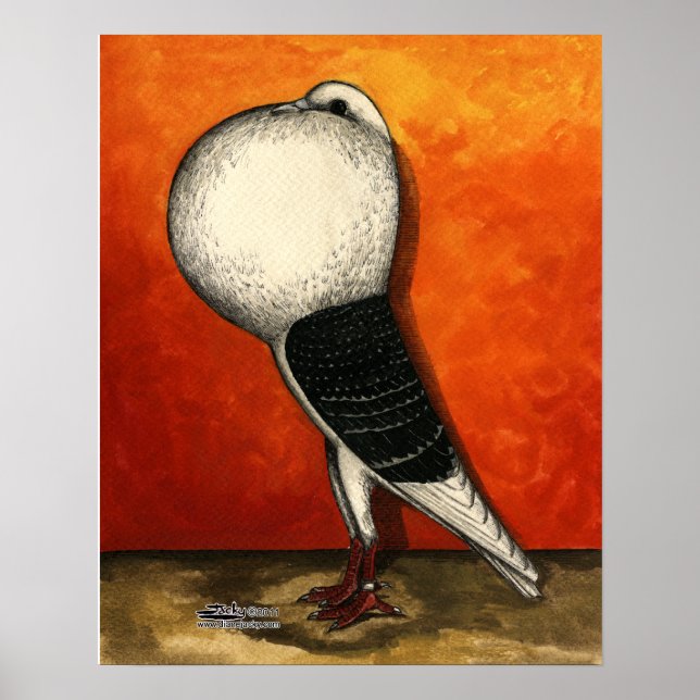 Voorburg Cropper Pigeon Blue Check Poster (Framsidan)