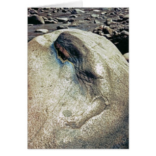 Vördnad till Andean kvinnor/hopfällbart kort