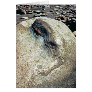 Vördnad till Andean kvinnor/hopfällbart kort