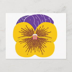 Vore(l)d Pansy-vykort Vykort