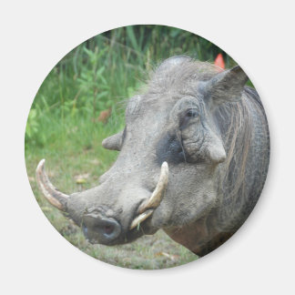 vört-hog10x10 magnet