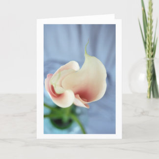 Vortex White Calla Lily Art Photo Note Card Kort