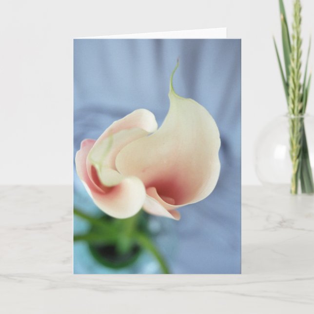 Vortex White Calla Lily Art Photo Note Card Kort (Framsida)